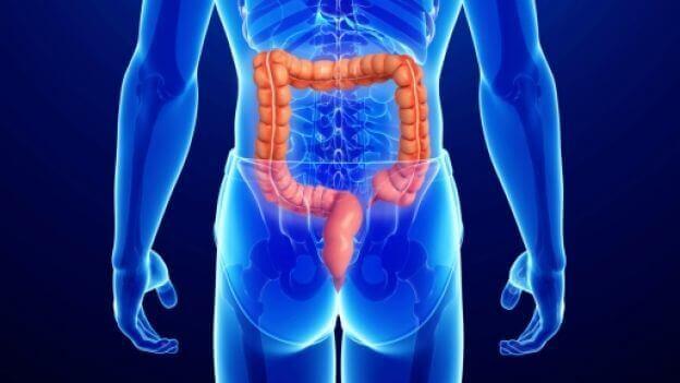 गुदा के कैंसर के बारे में जानकारी 