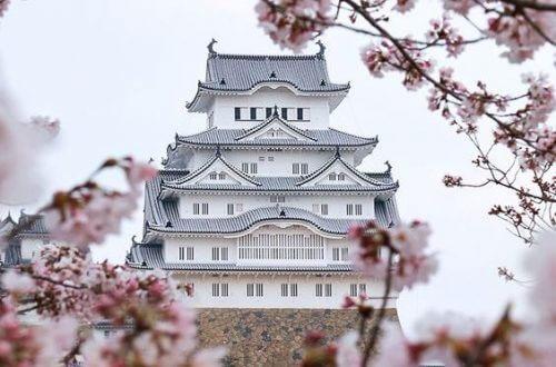 हर दिन खुशहाल रहने का जापानी विज़डम