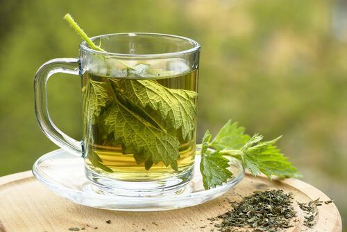 नेटल के इस्तेमाल से चेहरे के अनचाहे बालों से छुटकारा पाएँ
