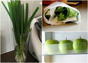 9 नुस्खे जो खाद्य पदार्थों को देर तक तरोताजा रख सकते हैं