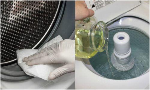 तीन लाजवाब इको-फ्रेंडली तरीके वॉशिंग मशीन से फफूंदी हटाने के लिए