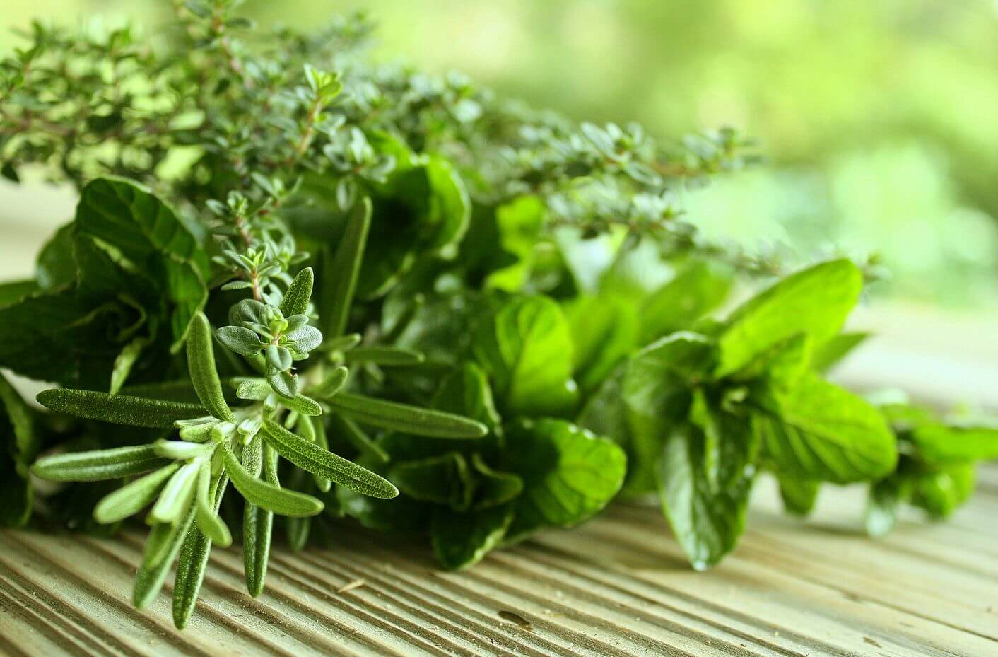 साँसों की बदबू का सफाया: औषधीय जड़ी-बूटी