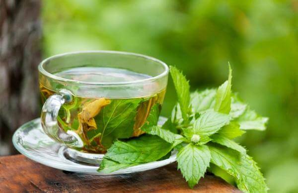 फैटी लीवर: पुदीने का अर्क