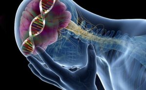 शरीर में सेरोटोनिन की कमी के 9 हैरान करने वाले प्रभाव