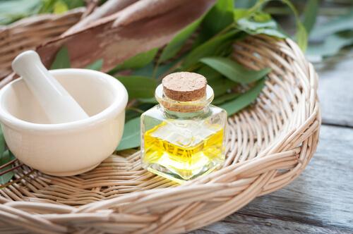 जुओं से छुटकारा पाने के लिए यूकेलिप्टस ऑइल