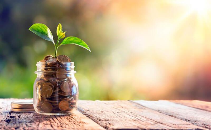 पैसे बचाने वाले केकबो का ढांचा