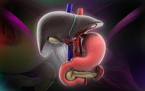 फैटी लीवर रोग के लक्षण