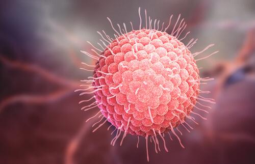 हर्पीस जॉस्टर के कारण