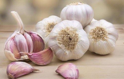 लहसुन उगाएं: ध्यान रहने की बातें