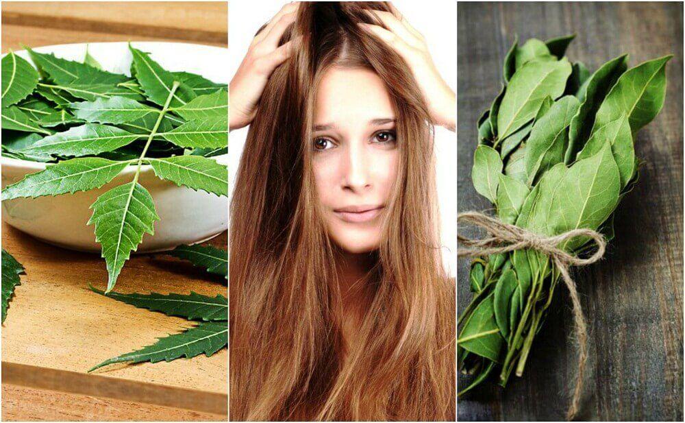 बालों का नुस्खा