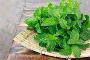 पुदीना (spearmint) के उपयोग से बने घरेलू नुस्खे