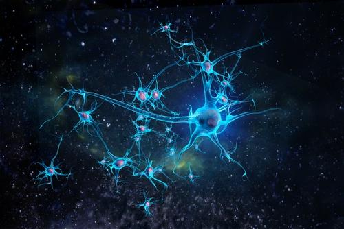 एक्सरसाइज: याददाश्त और सीखने में क्षमता में सुधार होता है