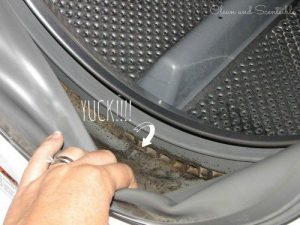 वाशिंग मशीन की फंगस हटाने का सबसे बढ़िया उपाय