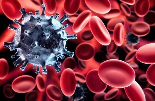 खराब ब्लड सर्कुलेशन: लाल रक्त कणिकाएं