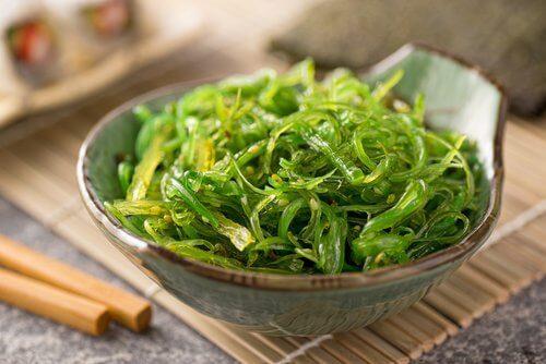 3. खारा नमक और शैवाल (algae)