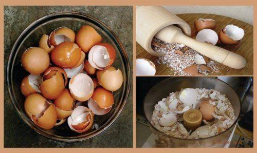 अंडे के छिलके से बनायें 6 अद्भुत प्राकृतिक नुस्ख़े