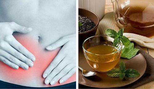 यूरिनरी ट्रैक्ट से मुकाबला करने के लिए बोल्डो टी