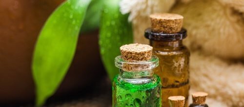 टी ट्री ऑयल : वह अद्भुत तेल जिसके हैं कई नायब फायदे