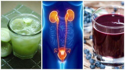 5 ड्रिंक : यूरिनरी ट्रैक्ट इन्फेक्शन, UTI से मुकाबला करने के लिए