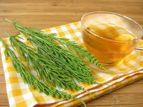 UTI यूरिनरी ट्रैक्ट इन्फेक्शन से लड़ने के लिए हॉर्सटेल टी (Horsetail tea)