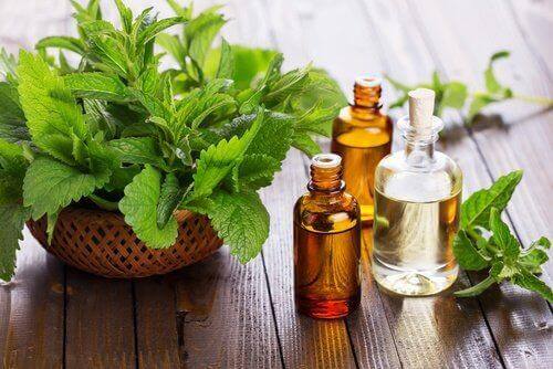 5. पुदीने का तेल (Peppermint Oil)