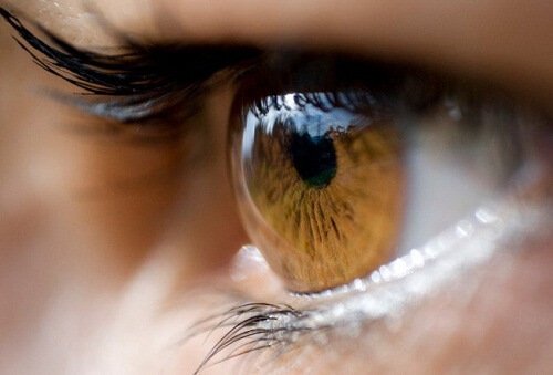 आँखों का रंग : भूरी और हल्के भूरे रंग की आँखें (Brown and light brown)