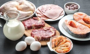 फैट बर्न करने के लिए प्रोटीन बढ़ाएँ