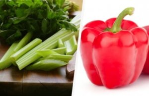 फैट जलाने वाले सूप