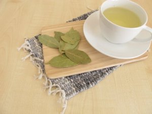 तेज पत्ते का तेल bay leaf oil antibiotic