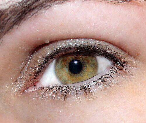 आँखों का रंग : हरी आँखें (Green eyes)