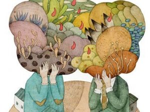 सूक्ष्म आक्रामकताएं