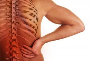 पीठ के निचले हिस्से में दर्द : प्रोलैप्स्ड या हर्निएटेड डिस्क (Prolapsed or herniated disc)
