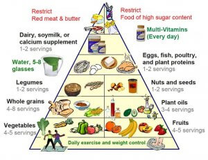 नया फूड पिरामिड: एक स्वस्थ जीवन की कुंजी