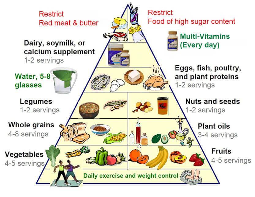 Korean Food Pyramid