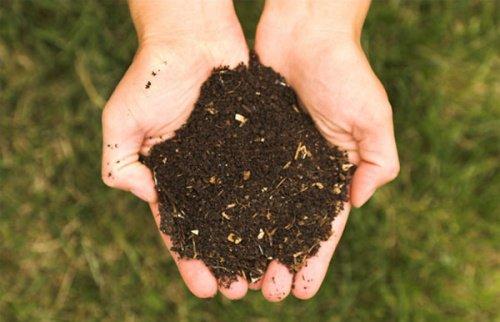 स्वस्थ मिट्टी