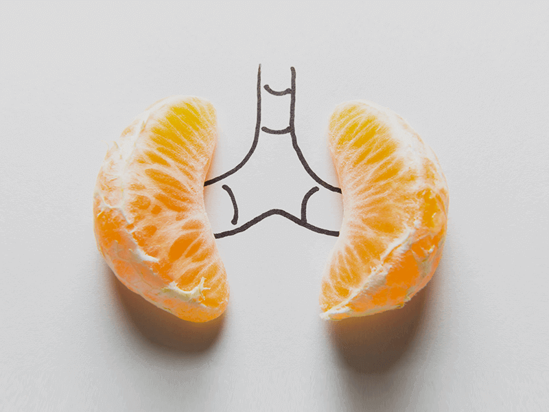 इन 6 आदतों से आपके गुर्दों की सेहत पर बुरा असर पड़ सकता है!