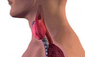 थायरॉइड की स्थिति : क्या सबकुछ ठीक-ठाक काम कर रहा है