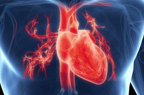 हृदय रोगों के 7 सबसे आम लक्षण