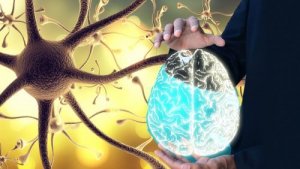 बेहतर तंदरुस्ती के लिए अपनी वेगस नर्व को कैसे जगाएं