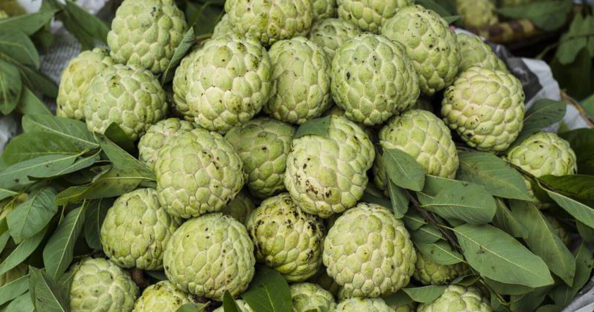 सीताफल आपकी कार्डियोवैस्कुलर सेहत के लिए फायदेमंद होता है