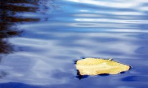 महिलाओं के लिए पांच बातें :