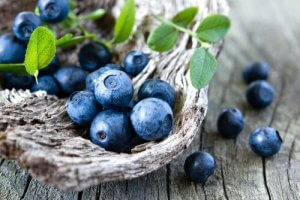 यूरिनरी ट्रैक्ट इन्फेक्शन :  ब्लूबेरी (blueberry)
