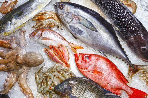 9 किस्म की ‌नुकसानदेह मछलियां जिनसे बचना‌ ही‌ बेहतर है