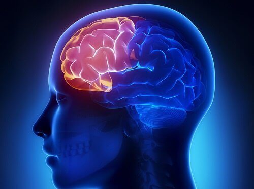 4 मेंटल एक्सरसाइज : वृद्धावस्था में दिमागी हालत दुरुस्त रखने के लिए