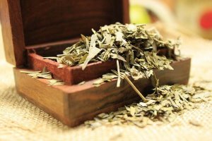 जिन्को बाइलोबा : टिनिटस के लिए कारगर