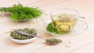 अश्व पुच्छा चाय या हॉर्सटेल टी (Horsetail Tea)