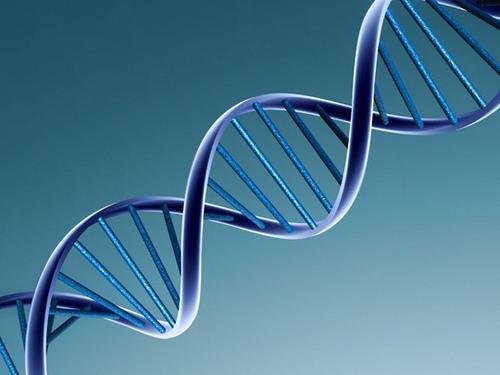फ्रेटर्नल ट्विंस अपना केवल 50% डीएनए साझा करते हैं