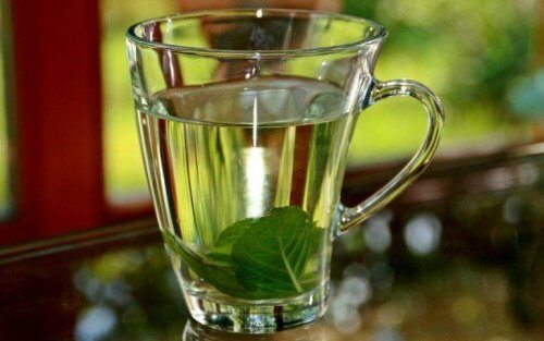 तुलसी की चाय (Basil Tea)