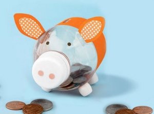 प्लास्टिक की बोतलें : पिग्गी बैंक