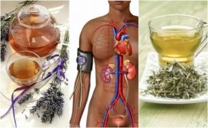 5 हर्बल ट्रीटमेन्ट जो घटाते हैं ब्लडप्रेशर